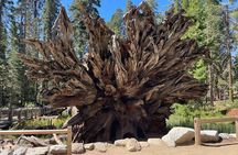 Yosemite National Park & Sequoias Private Tour from San Francisco