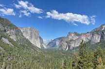 Yosemite National Park & Giant Sequoias Private Tour 