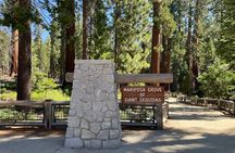 Yosemite National Park & Giant Sequoias Private Tour 