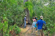 Howler Monkey Sanctuary and Belize City Tour