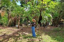 Rumble in the Jungle: The Howler Monkey Expedition