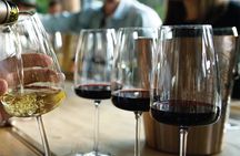 Tasting and lunch in cellar + Olive tree. Private transportation