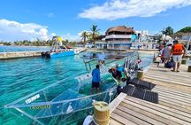 Crystal Boat Tour to San Miguel de Cozumel with Snorkeling