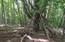 Private Singhampton Caves Hiking Tour, Collingwood/Blue Mountain