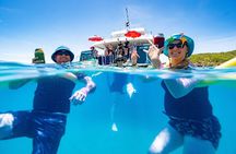 Great Keppel Island Adventure Tour - Snorkel and Boomnet