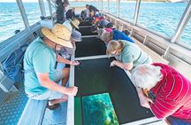 Great Keppel Island Adventure Tour - Snorkel and Boomnet