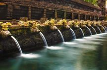 The Beauty Of Ubud Private Day Tour
