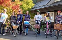 Iya Valley BROMPTON Slow Cycling Tour