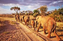 2 Days, 1 Night - Tsavo East National Park Safari 