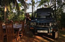 Day Tour from Colombo to Minneriya National Park Jeep Safari