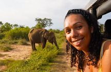 Day Tour from Colombo to Minneriya National Park Jeep Safari