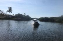 Manatee and Dolphin Kayak Tour