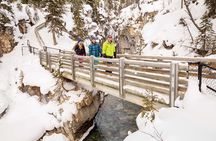 Half Day Marble and Johnston Canyon Ice Walk Combo Tour