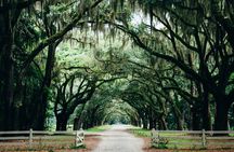 Full Day Private Tour of Savannah Film Locations