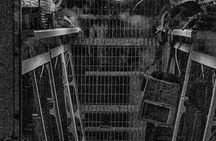 USS Yorktown Ghost Tour with Exclusive Night-Time Access