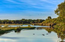 Western Australia’s Paradise: A Private Day Tour from Perth