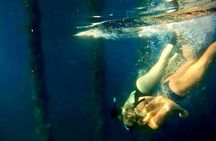  Busselton Jetty and Underwater Sculptures Snorkel Boat Tour