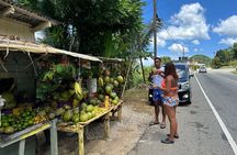 Benta River & Falls Private Tour From Montego Bay