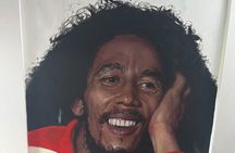 Private Bob Marley 9 mile & DunnsRiverFalls Tour from Montego Bay