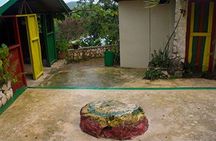 Private Bob Marley 9 mile & DunnsRiverFalls Tour from Montego Bay