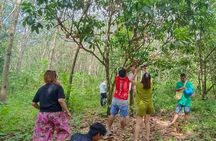 ATV Adventure: Khao Lak’s Best Off-Road Experience