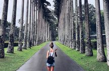 Kandy Day Tour From Colombo