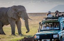 4 days Awesome Luxury safari Tarangire Serengeti & Ngorongoro 