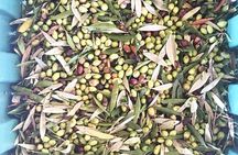 Taste of Crete: Soap, Olive Oil, Wine, Raki, Cretan Delicacies 