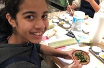 Experience Sushi Making Class in Tokyo
