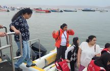 Nazca Lines and Paracas tour full day-organized from Lima