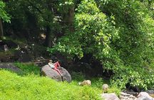 Berber Village Retreat: A Tranquil Escape to the Atlas Mountains