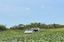Everglades Tour from Miami