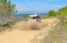 Cozumel: Jeep & Xrail Buggy Adventure Excursion