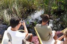 Luxury Everglades Excursion