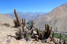 Puritama Canyon and Guatin Trekking
