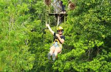 Solo ATV 4 Ziplines, Lunch, Transportation and Tequila Tasting