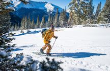 Guided Splitboarding Backcountry Adventure in Colorado