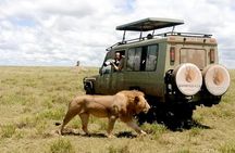 4 Days Tanzania Private Lodge Safari