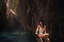 Tour to Materuni Waterfalls, coffee tour & Kikuletwa Hot Springs