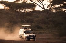 2 Days Tarangire and Ngorongoro Safari Tour in Tanzania