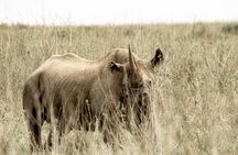 2 Days Tarangire and Ngorongoro Safari Tour in Tanzania