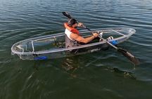 Dolphin and Manatee Clear Kayak or Paddleboard Island Hop Tour