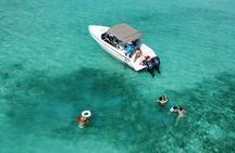 Half day Exotic private charter Rose Island, Pigs and Turtles