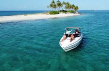 Half day Exotic private charter Rose Island, Pigs and Turtles