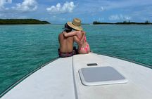 Half day Exotic private charter Rose Island, Pigs and Turtles