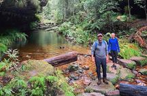 Blue Mountains Private Hiking Tour from Sydney