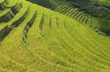 Mai Chau – Pu Luong 2D1N