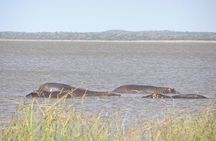  Full-Day Safari in Maputo National Park 