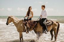 2 Hours Horse Riding Adventure on the beach From Sharm El Sheikh