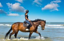 2 Hours Horse Riding Adventure on the beach From Sharm El Sheikh